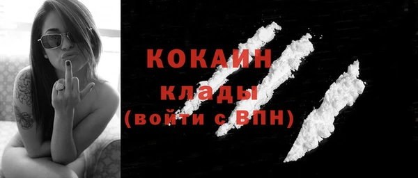 шишки Нефтегорск