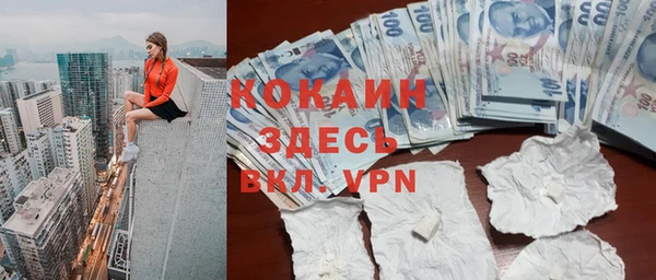 дживик Абинск