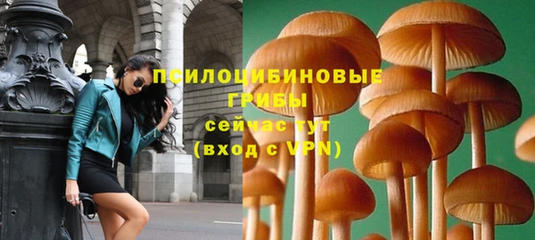 дживик Абинск